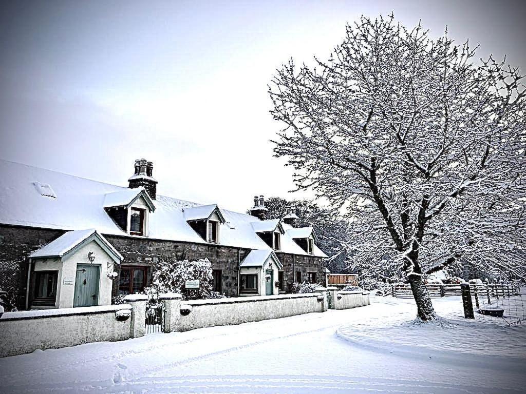 Rosemount Bothy - Highland Cottage Garve Bagian luar foto
