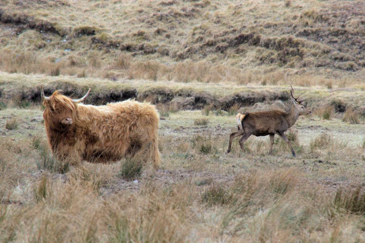 Rosemount Bothy - Highland Cottage Garve Bagian luar foto